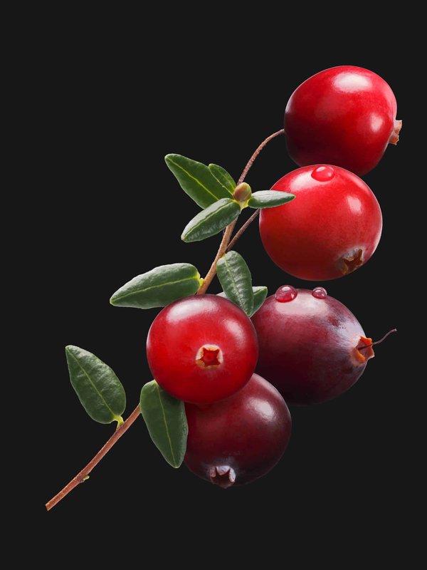 The secret to perfectly layered necklaces for every neckline